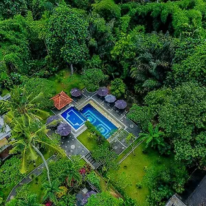 alas-petulu-cottages.ubudhotelsnow.com/